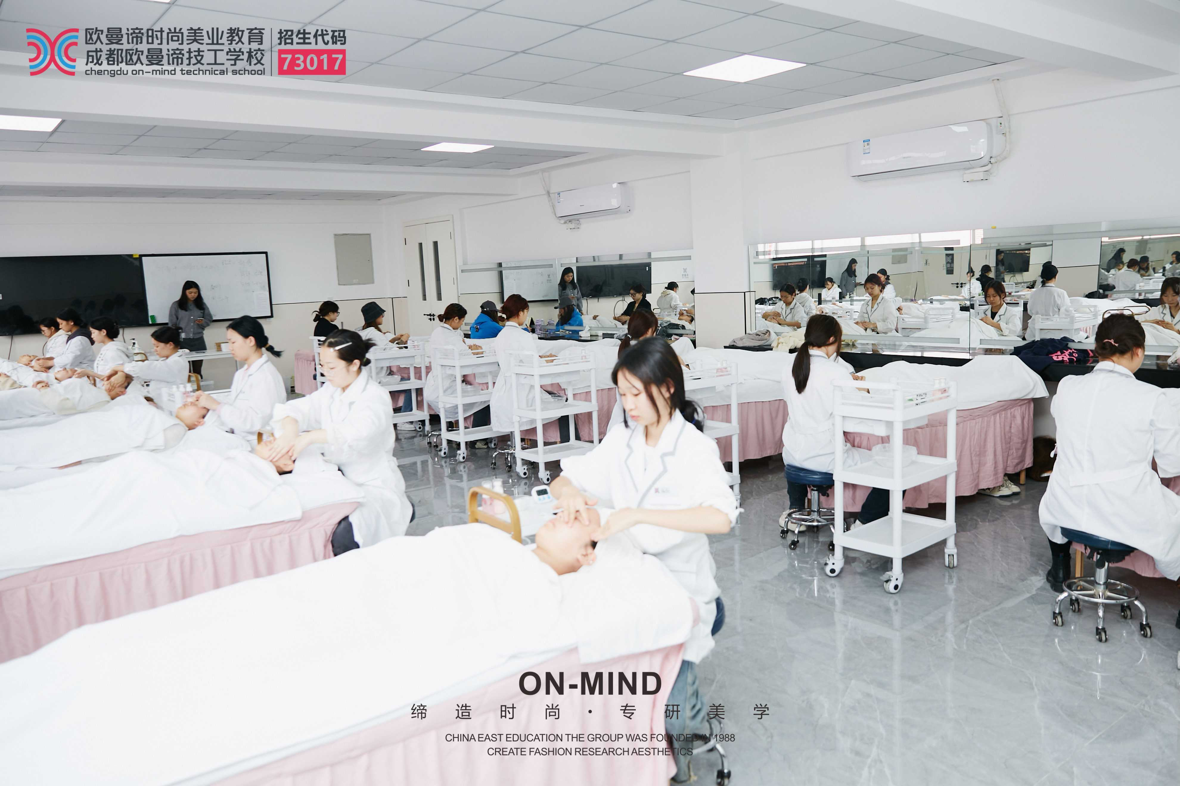 在成都哪里可以学到专业的美容技术？